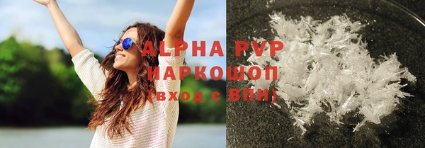 прущие грибы Армянск