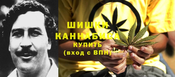 гашик Аркадак