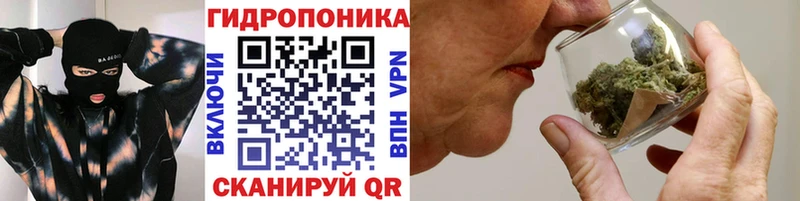 Конопля MAZAR  Купить  Кологрив 
